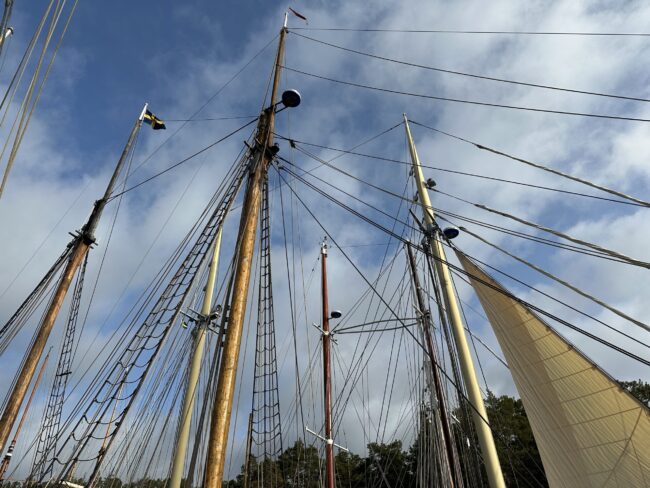 Saltkråkan Race 2023