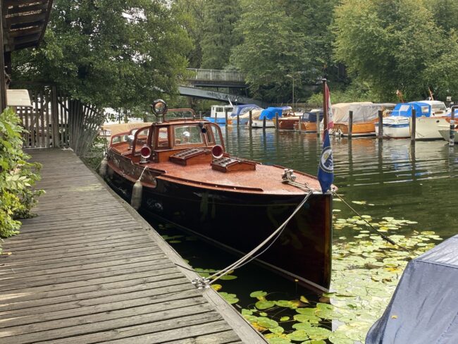 Loris. Foto: Martin Prieto Beaulieu