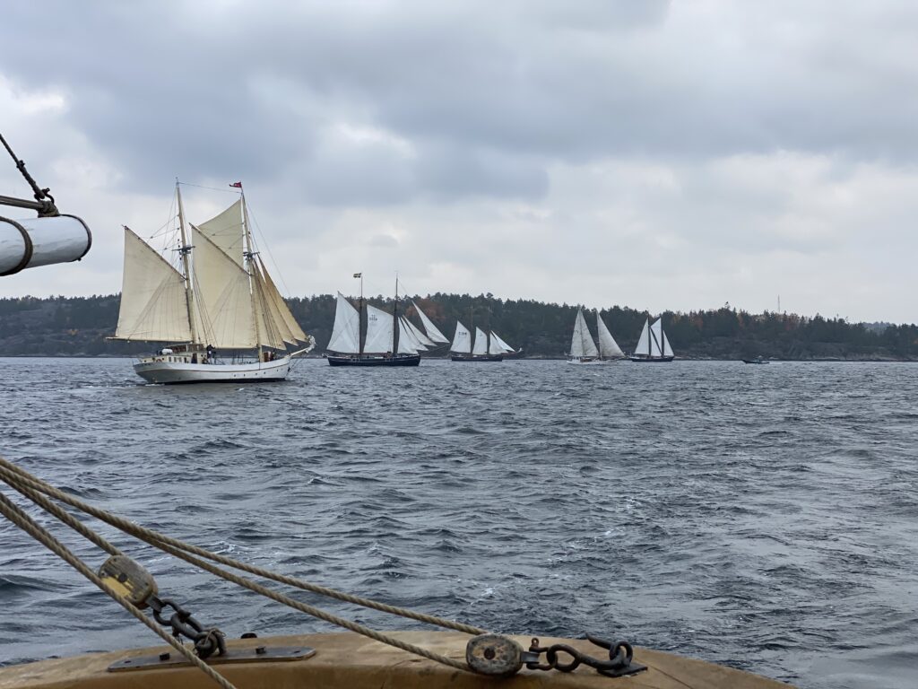 Saltkråkan Race, startlinjen. Foto: Martin Prieto Beaulieu