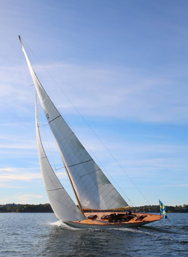 Princess Svanevit. Foto: Malcome Hanes