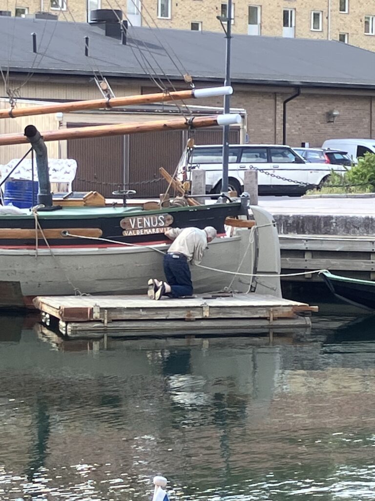 Venus kräver ständig omsorg som den 90-åring hon är. Hon har blivit en självklar del av träbåtshamnen i Valdemarsvik. Besökare kan intyga att de vackra linjerna och ljudet från den danskbyggda tändkulemotorn ständigt lockar till sig intresserade blickar och stora öron. Foto: Martin Prieto Beaulieu