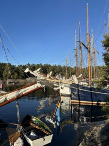 Napoleonviken Saltkråkan Race 2024. Foto: Martin Prieto Beaulieu