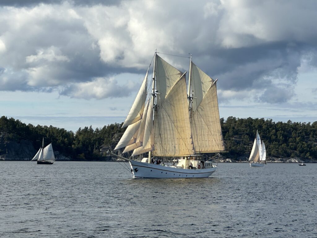 Libra af Stockholm, byggd som lastfartyget Lurö 1934 och K-märkt av Sjöhistoriska museet 2018, seglar i årets Saltkråkan Race som regerande mästare. Foto: Martin Prieto Beaulieu
