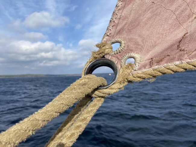 Foto: Martin Prieto Beaulieu