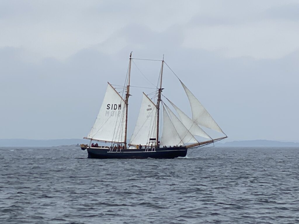 S/Y Ellen är en tvåmastad skonare byggd 1898 på Thurø varv i Danmark. I dag seglas hon som skolfartyg och sommarkollo där barn och unga provar livet till sjöss. Foto: Martin Prieto Beaulieu