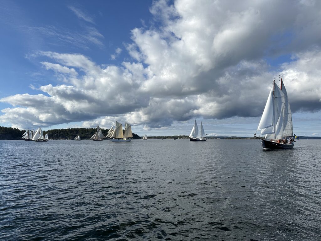 Saltkråkan Race 2024. Foto: Martin Prieto Beaulieu