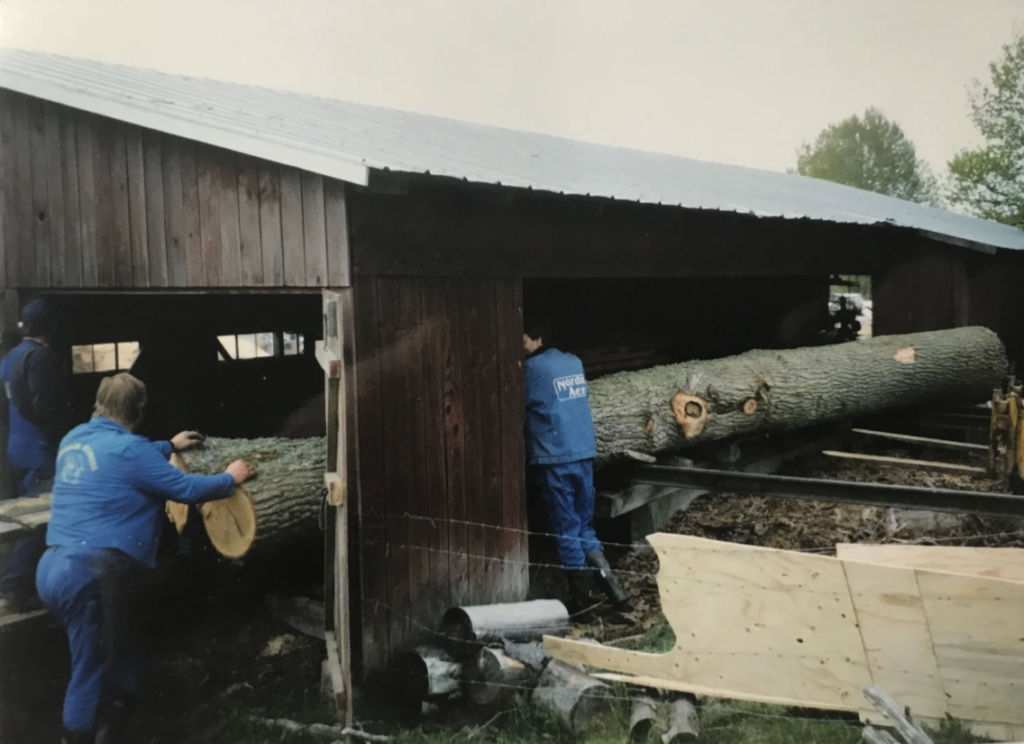 En av de första stora utmaningarna var att hitta ett kölämne. Den gamla kölen var genomrutten. Lösningen blev en sju meter lång ekstock som vägde 3,5 ton. Foto: Anders Widström
