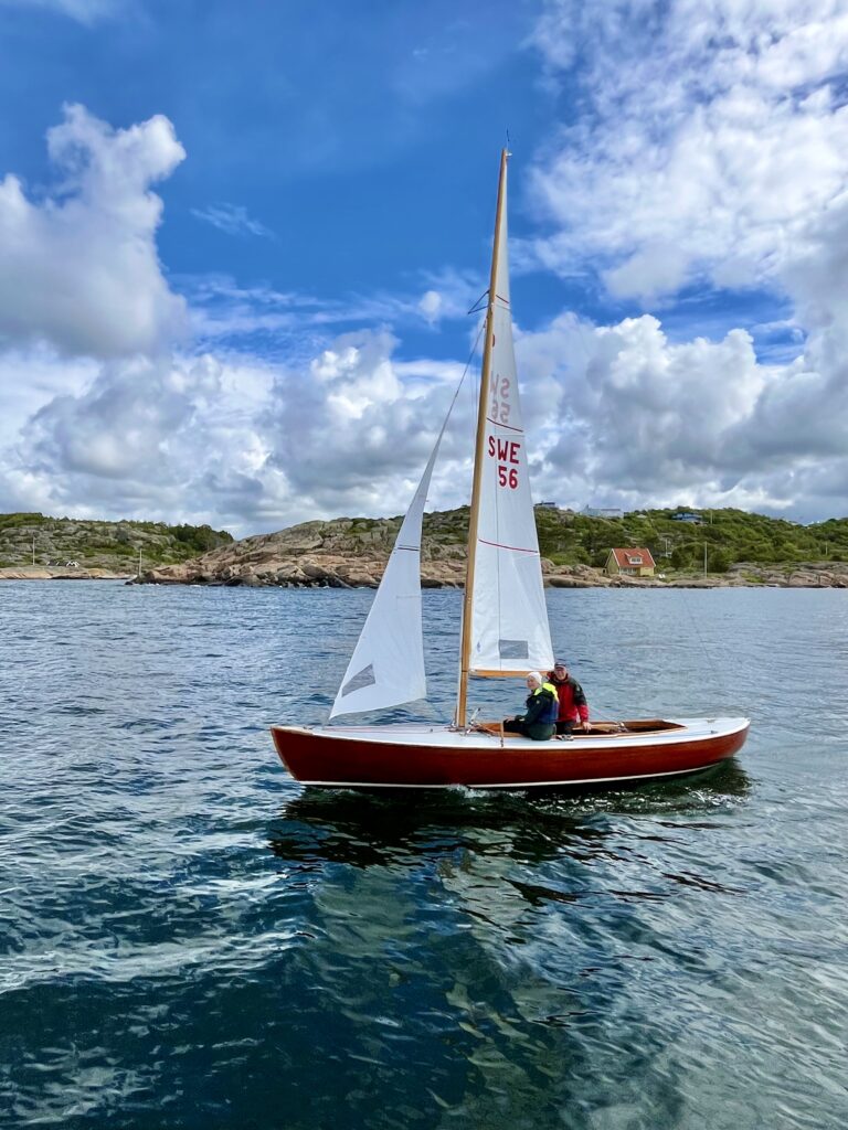 Svensk Andunge S-56